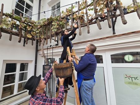 Prleška brotva 2025 (3)